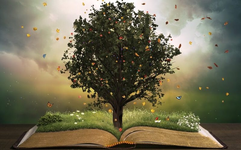 formazione aziendale