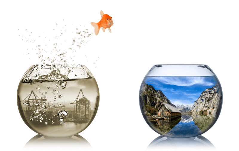 scheda di valutazione del personale