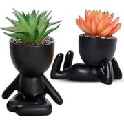 vaso piante scrivania