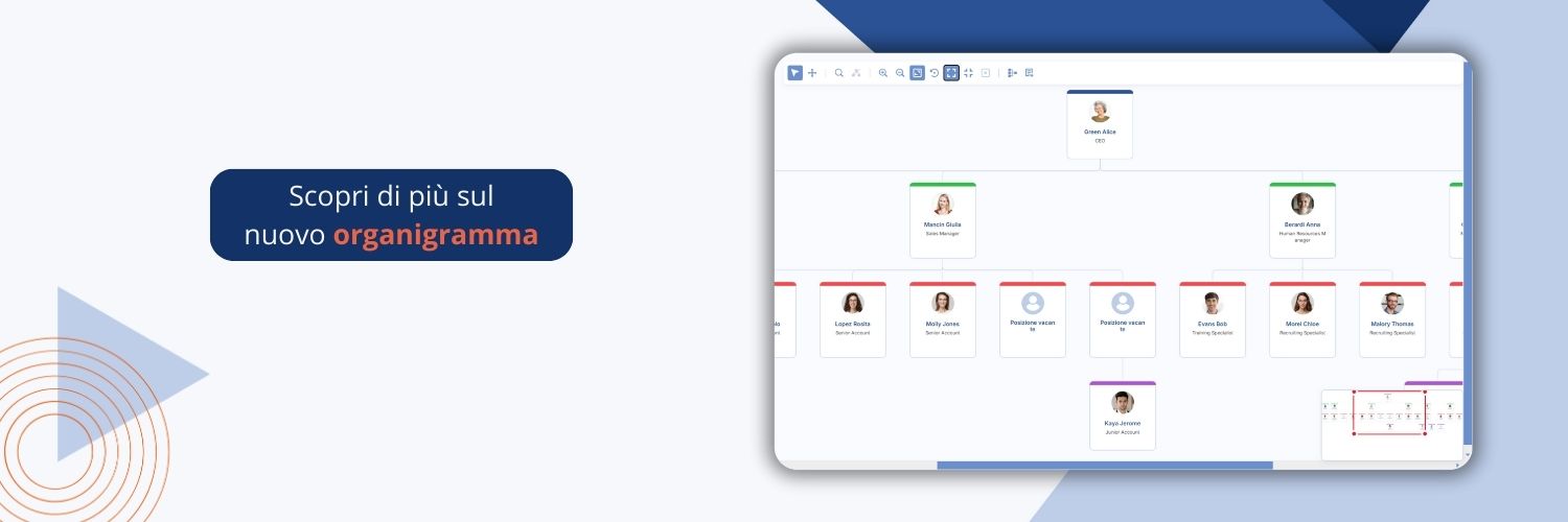 screenshot nuovo organigramma grafico