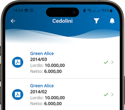 API & Webhooks Altamira