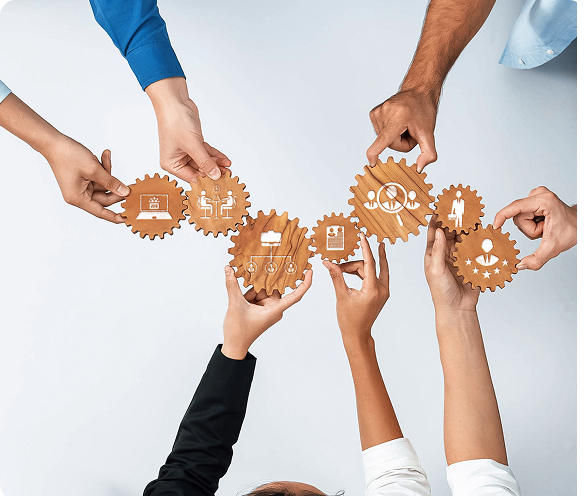 Visione semplificata